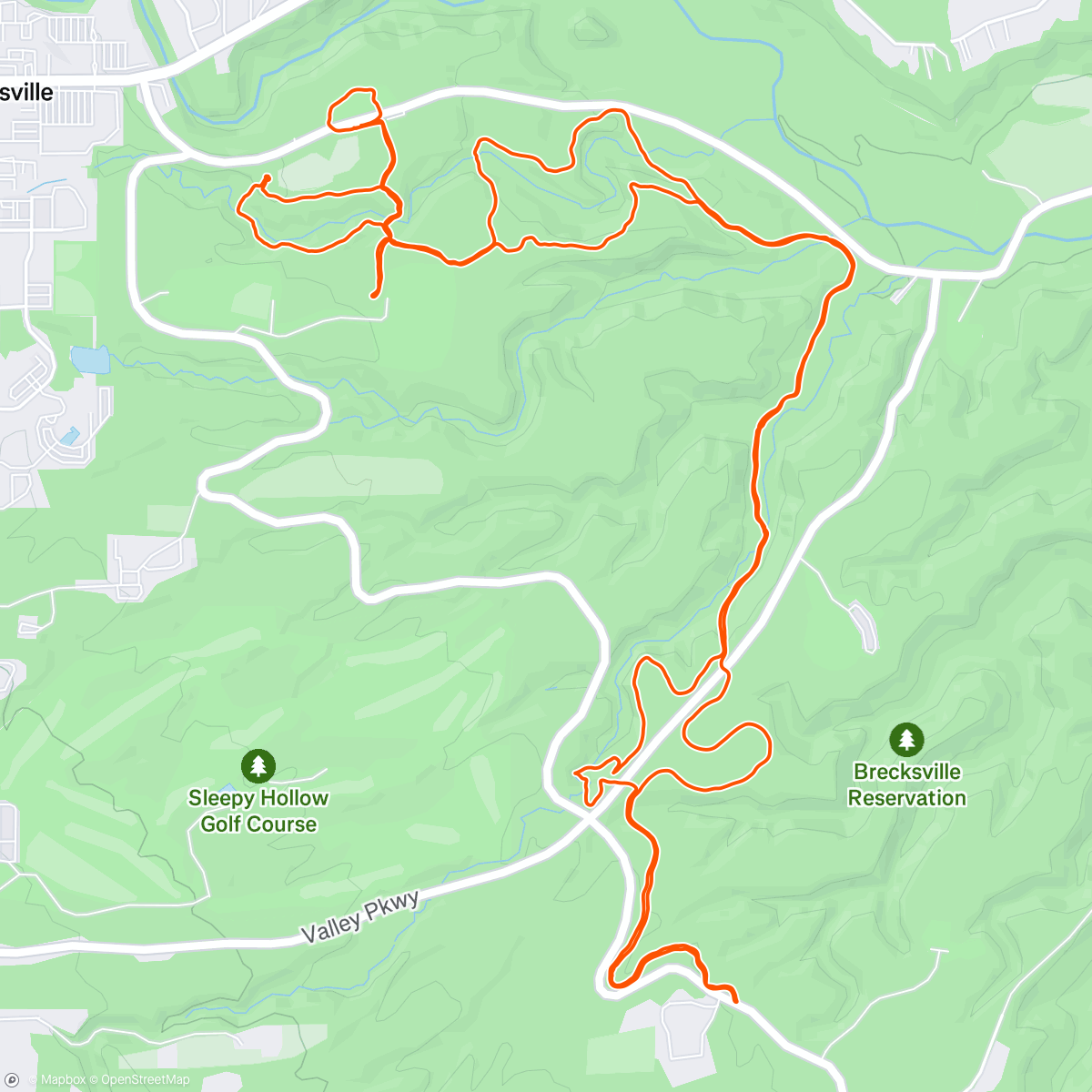 Карта физической активности (Brecksville Joggy with Becky!)