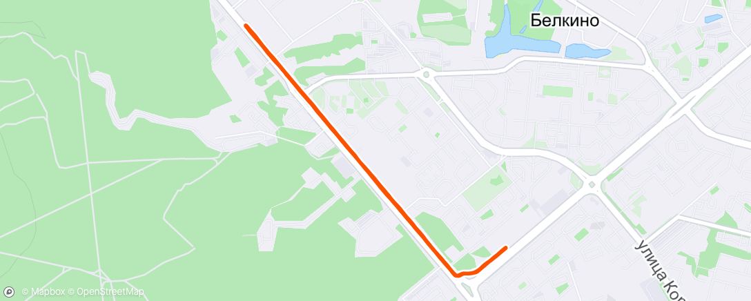 Map of the activity, Morning Run