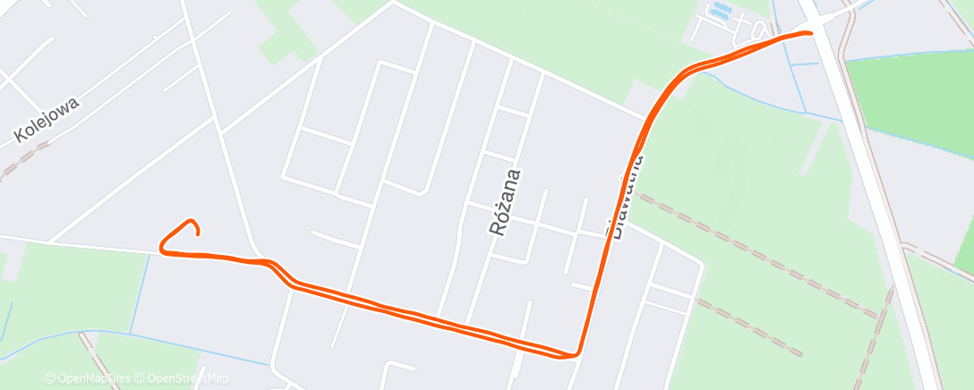 Карта физической активности (Morning Run)