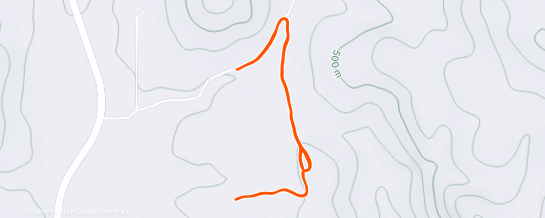 Карта физической активности (Morning Trail Run)