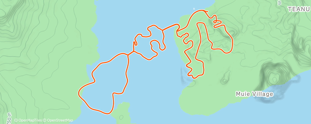 Map of the activity, Zwift - Race: DZR Christmas Special - Stage 4 (D) on Triple Twist in Watopia