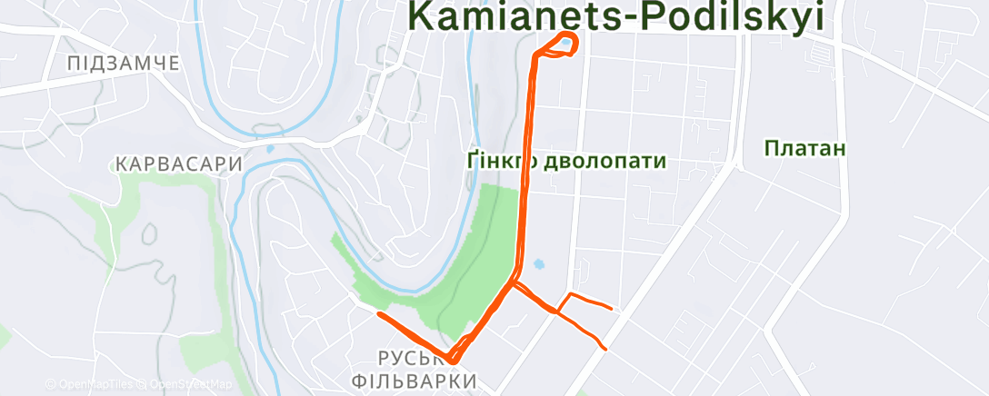 Карта физической активности (Evening Run)