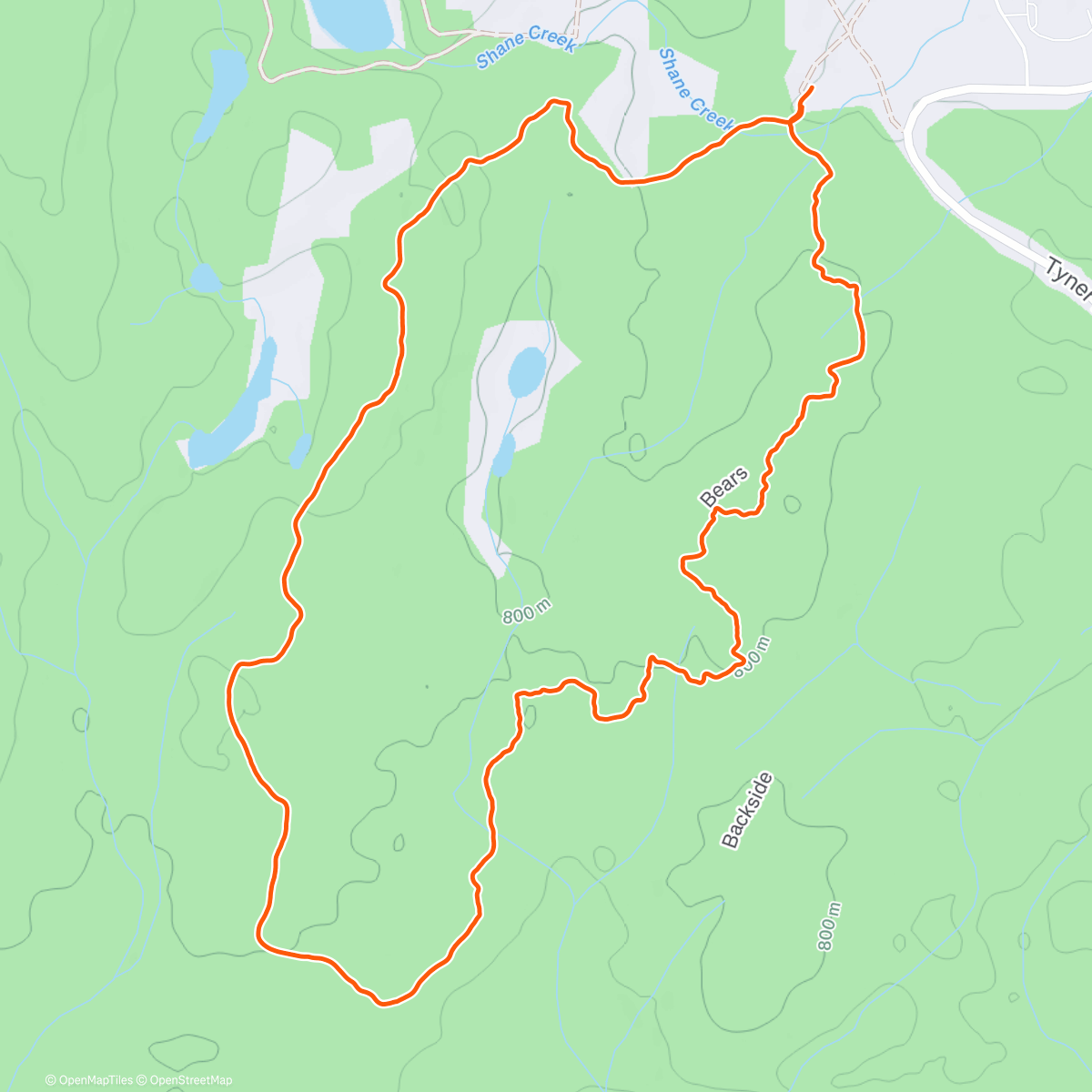 Карта физической активности (Blue Spruce Christmas Pickle run/walk)