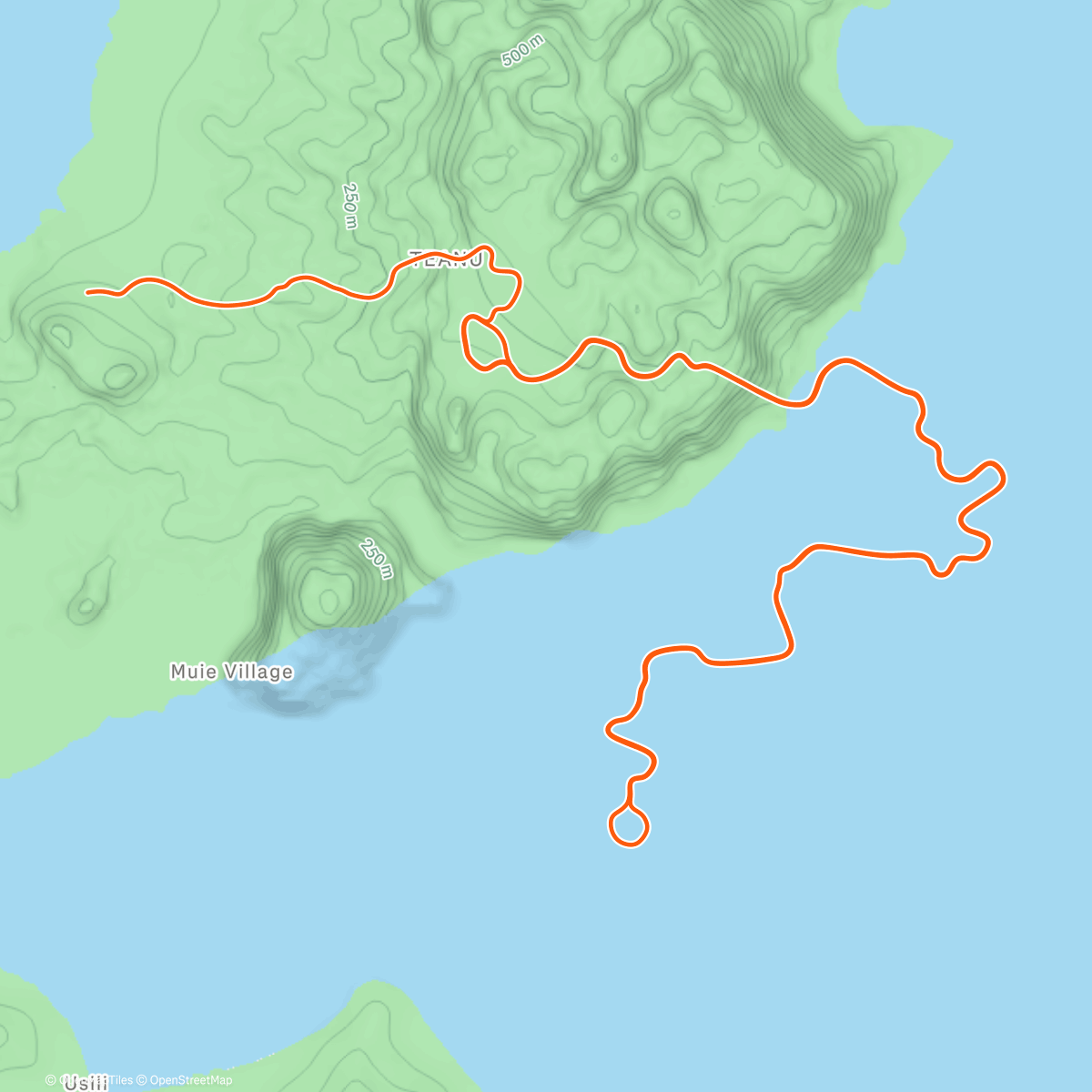 Map of the activity, Zwift - Flat Out Fast in Watopia