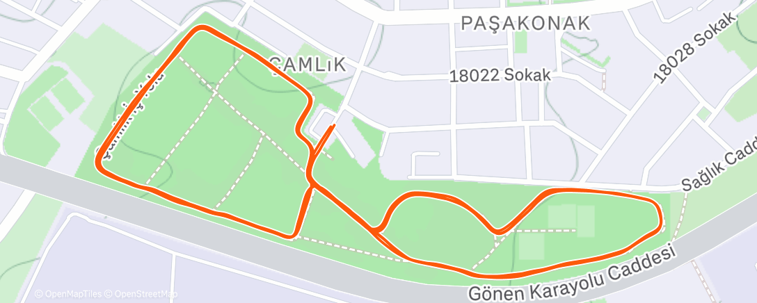 Карта физической активности (Evening Run)