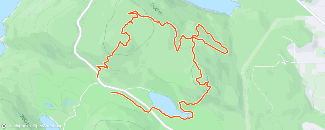 Map of the activity, Morning Trail