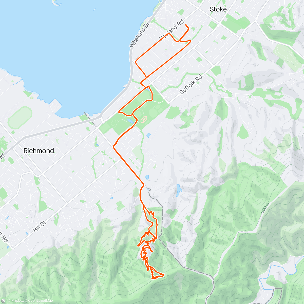 Map of the activity, Silvan spin