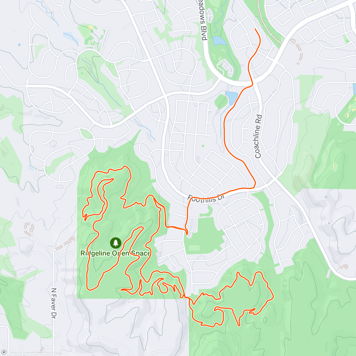 Map of the activity, Best damn run club on the planet 🌎