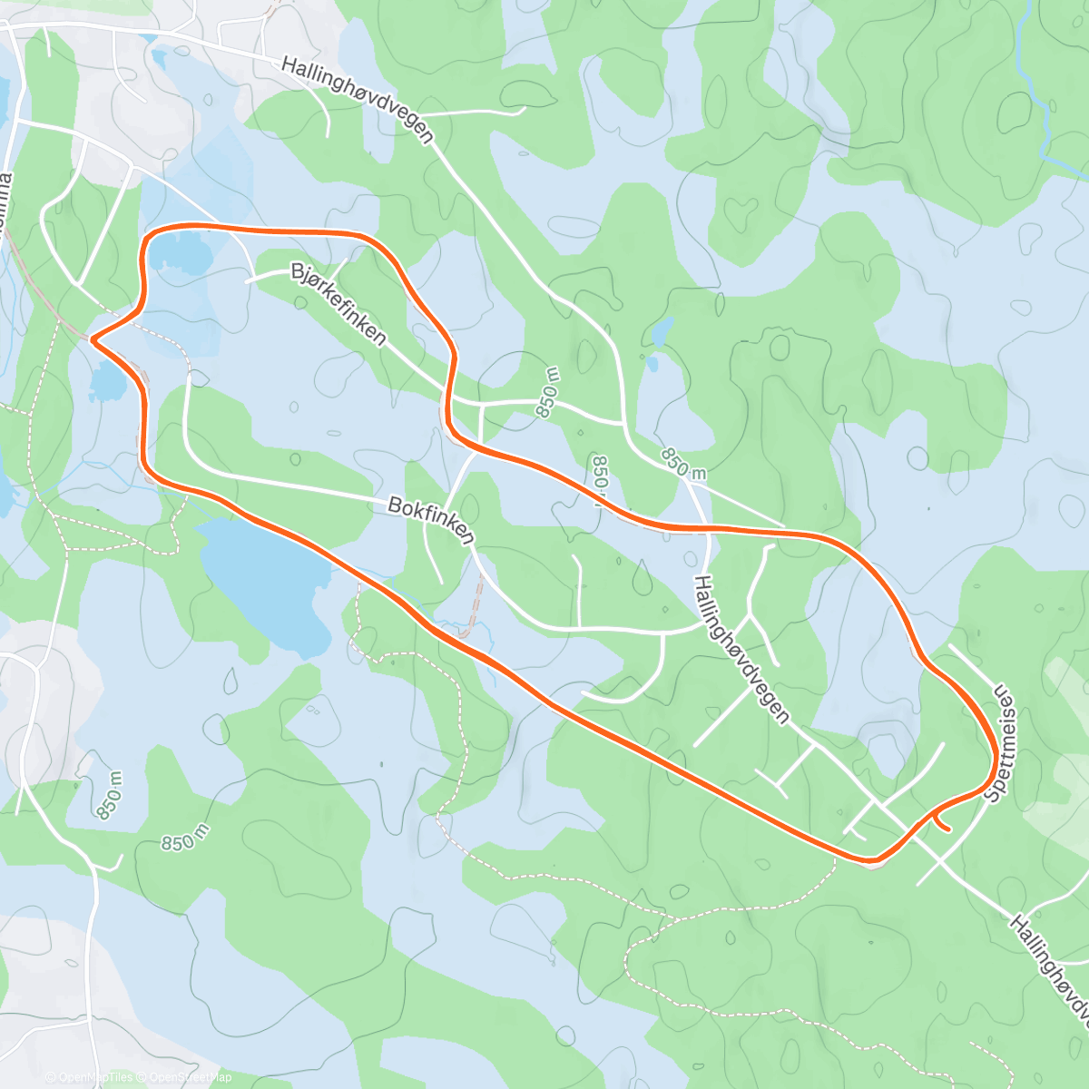 Map of the activity, Afternoon Nordic Ski