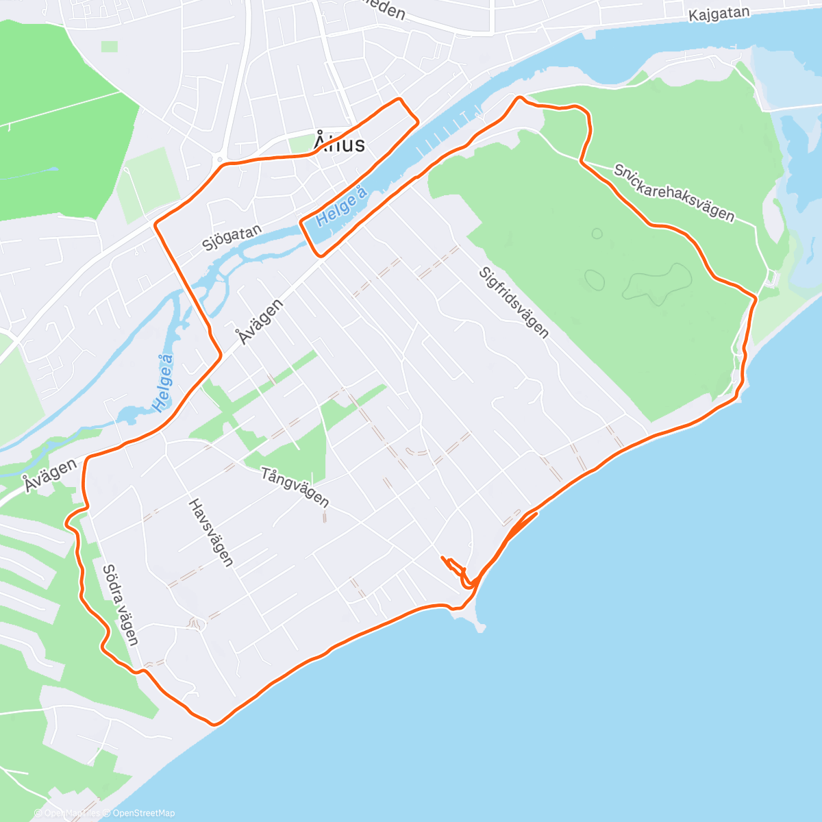 Map of the activity, Morning Run