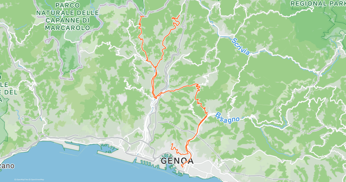 www.strava.com