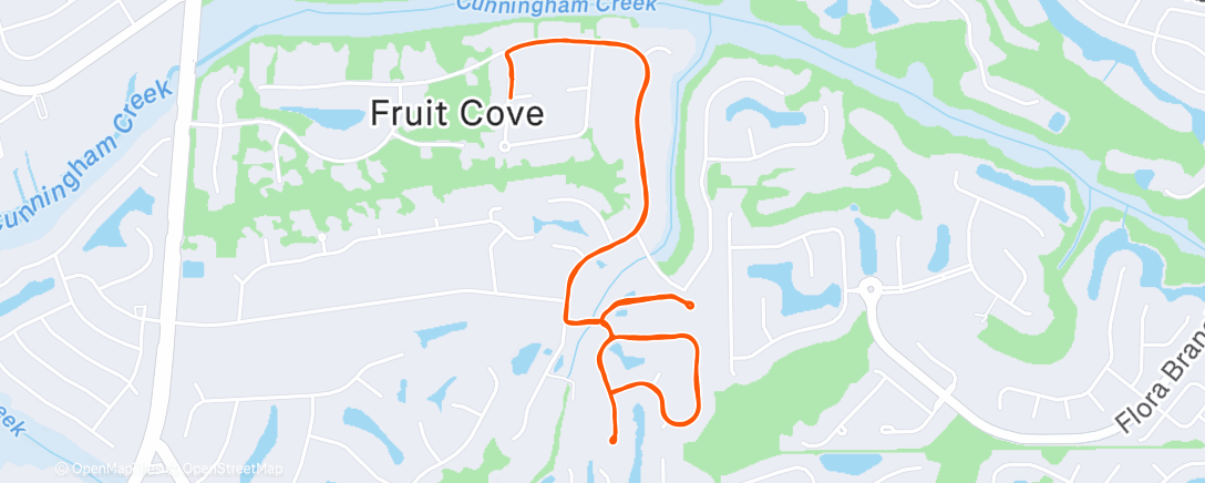 Карта физической активности (Morning Walk)