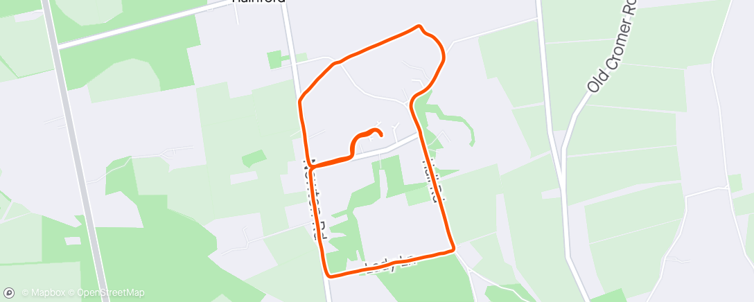 Map of the activity, Afternoon Walk with Buster