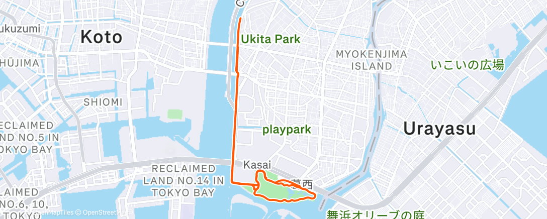 Map of the activity, Утренний забег