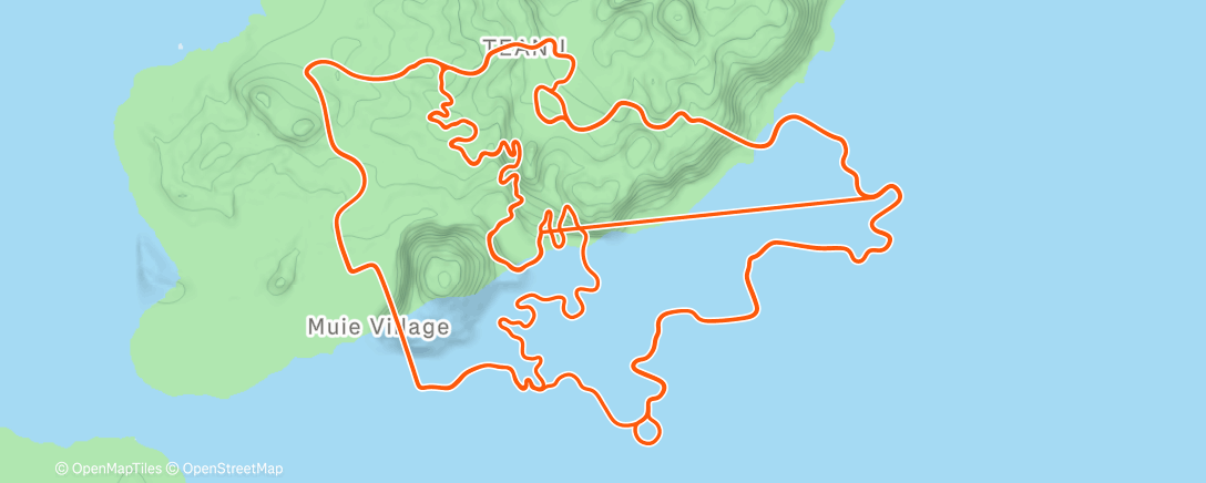 Карта физической активности (screen time)