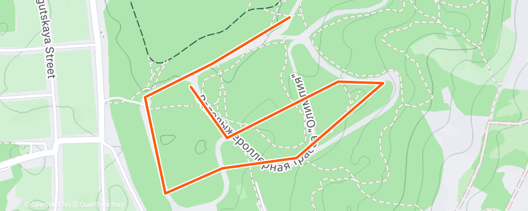 Map of the activity, Северный лыжный заезд (день)