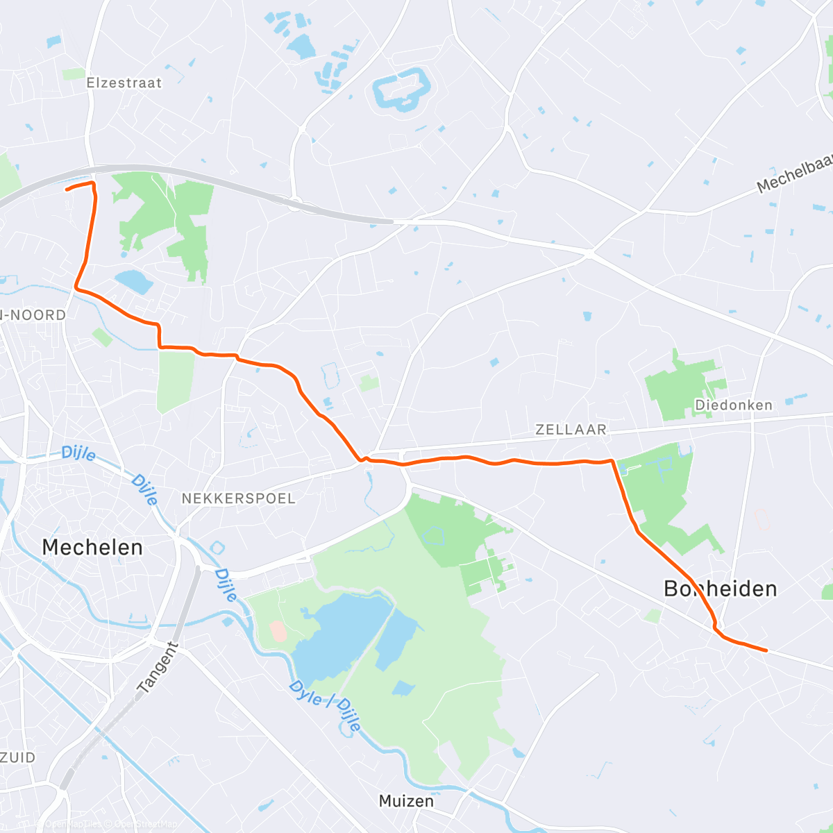 Map of the activity, Ochtend stond heeft goud in de mond 🤷🏼‍♂️