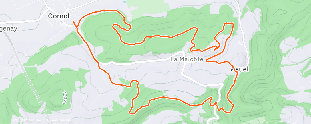 Карта физической активности (Morning Run)