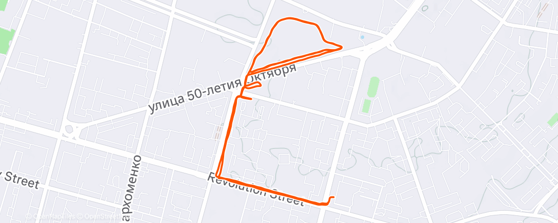 Map of the activity, Night Run
