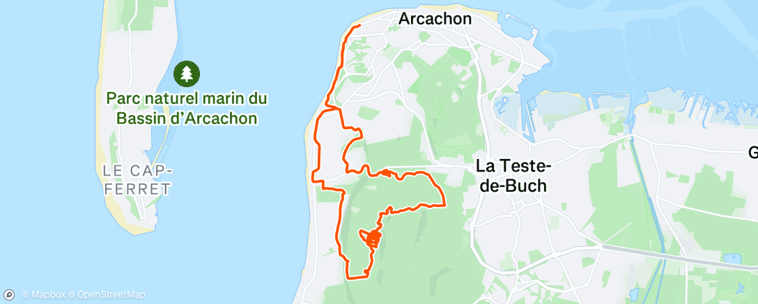 Map of the activity, Morning Ride