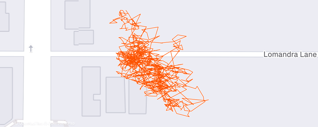 Карта физической активности (Morning Workout)