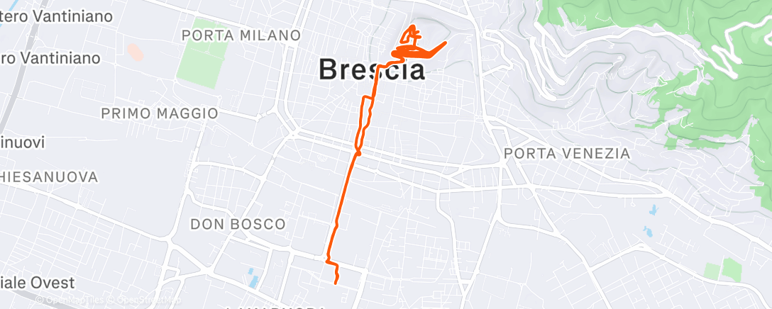 Карта физической активности (Tuesday Evening Run)