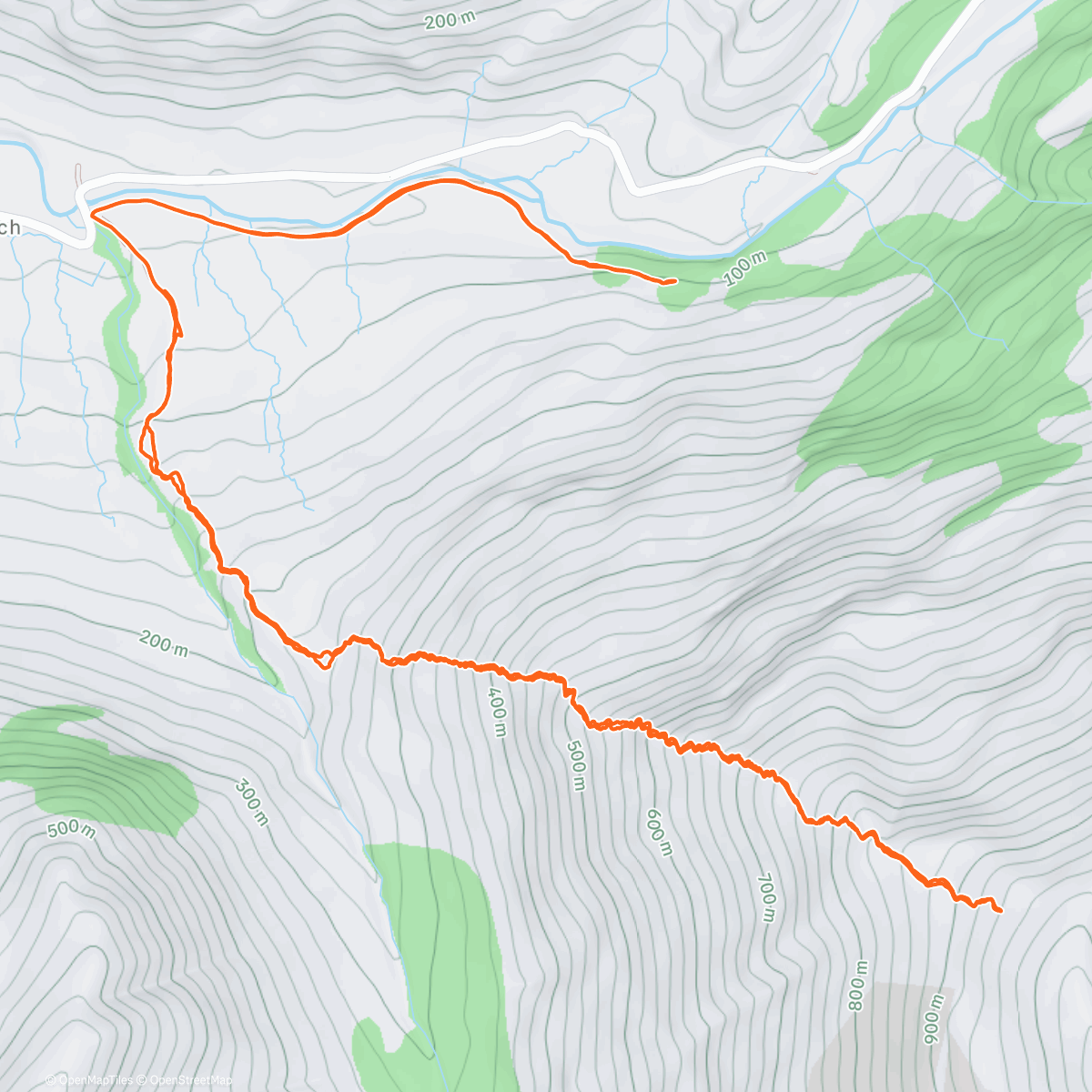 Карта физической активности (Frozen paradise)