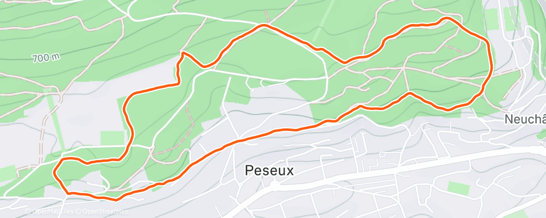 Карта физической активности (Afternoon Run)