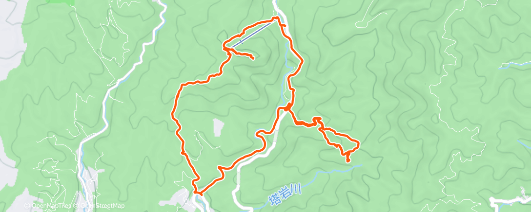 Map of the activity, Morning Workout