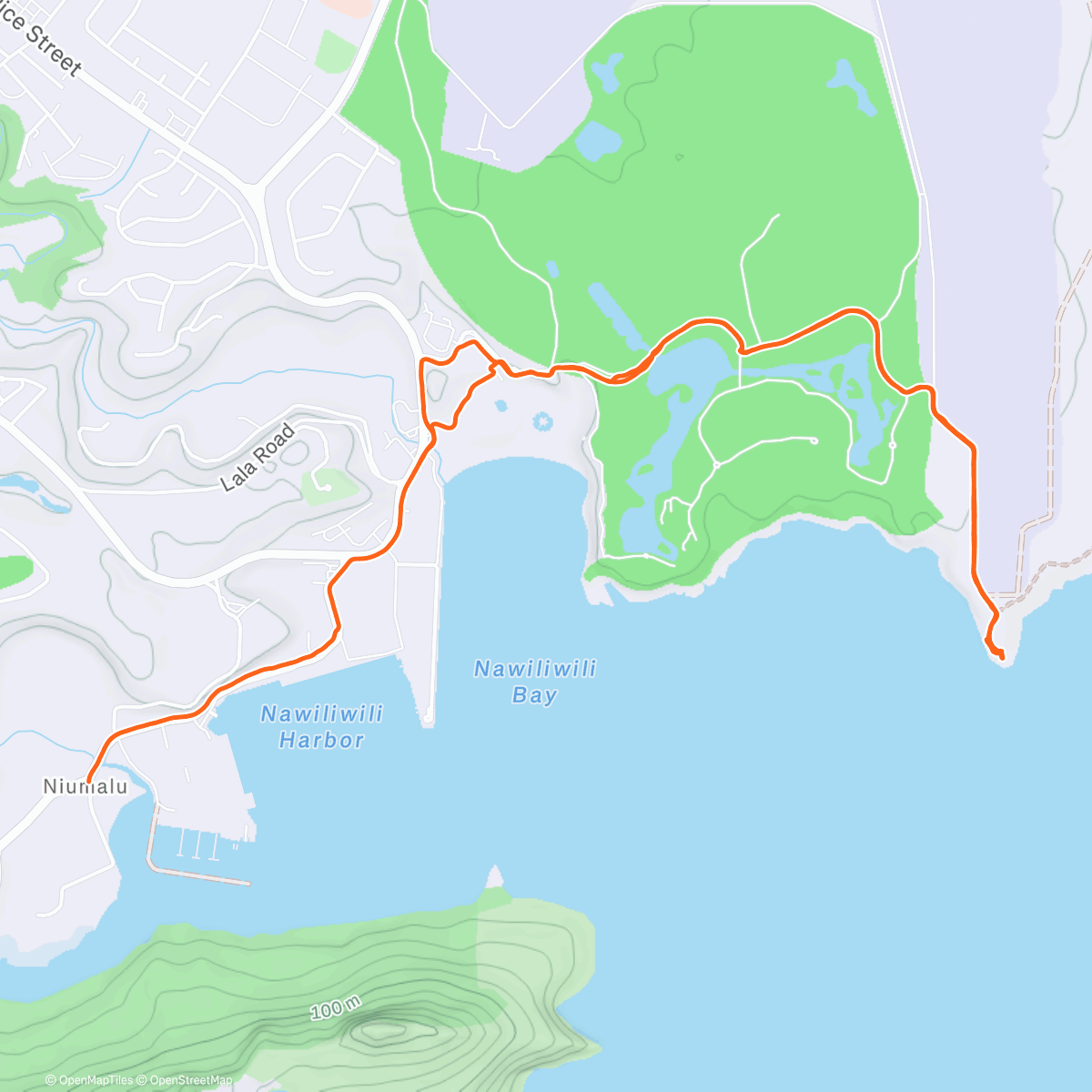 Карта физической активности (Ninini Point)