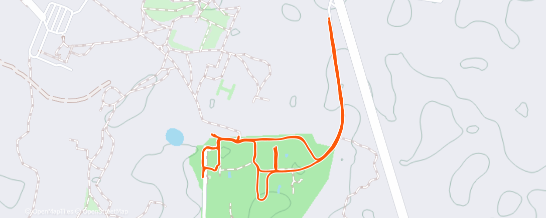 Map of the activity, More bird watching than running