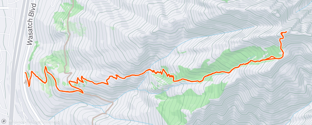 Map of the activity, Morning Trail Run