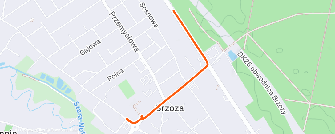 Map of the activity, Lunch Trail Run