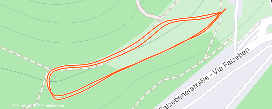 Карта физической активности (Morning Nordic Ski)