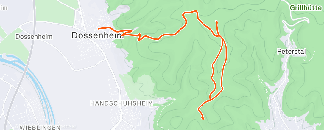Карта физической активности (❌MAS  HmBattle 🎬 Day 5️⃣:
Die Muskeln meldeten an: 🫡NE Gear ⚙️/ 🅾️NE Pace, sonst streiken wir, frequenzbasisiert uphillen.)