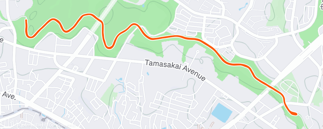 Map of the activity, Afternoon Run