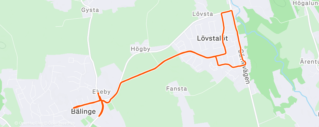 Map of the activity, Morning Run