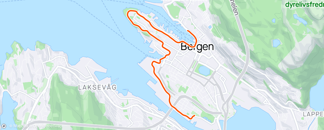 Mapa da atividade, Bergen City 5 km - distansert av Oskar for første gang 😆🥲