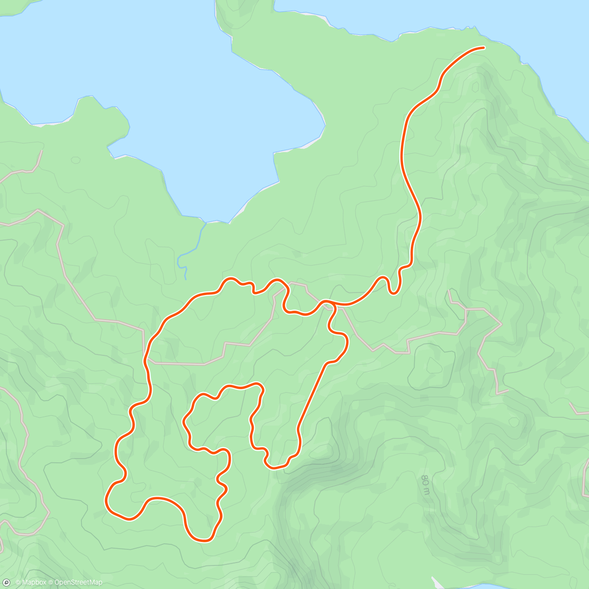 Map of the activity, Zwift - WS - uphills in Watopia