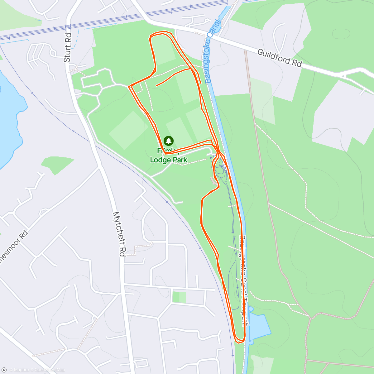 Map of the activity, Frimley Lodge parkrun Paige's 250th