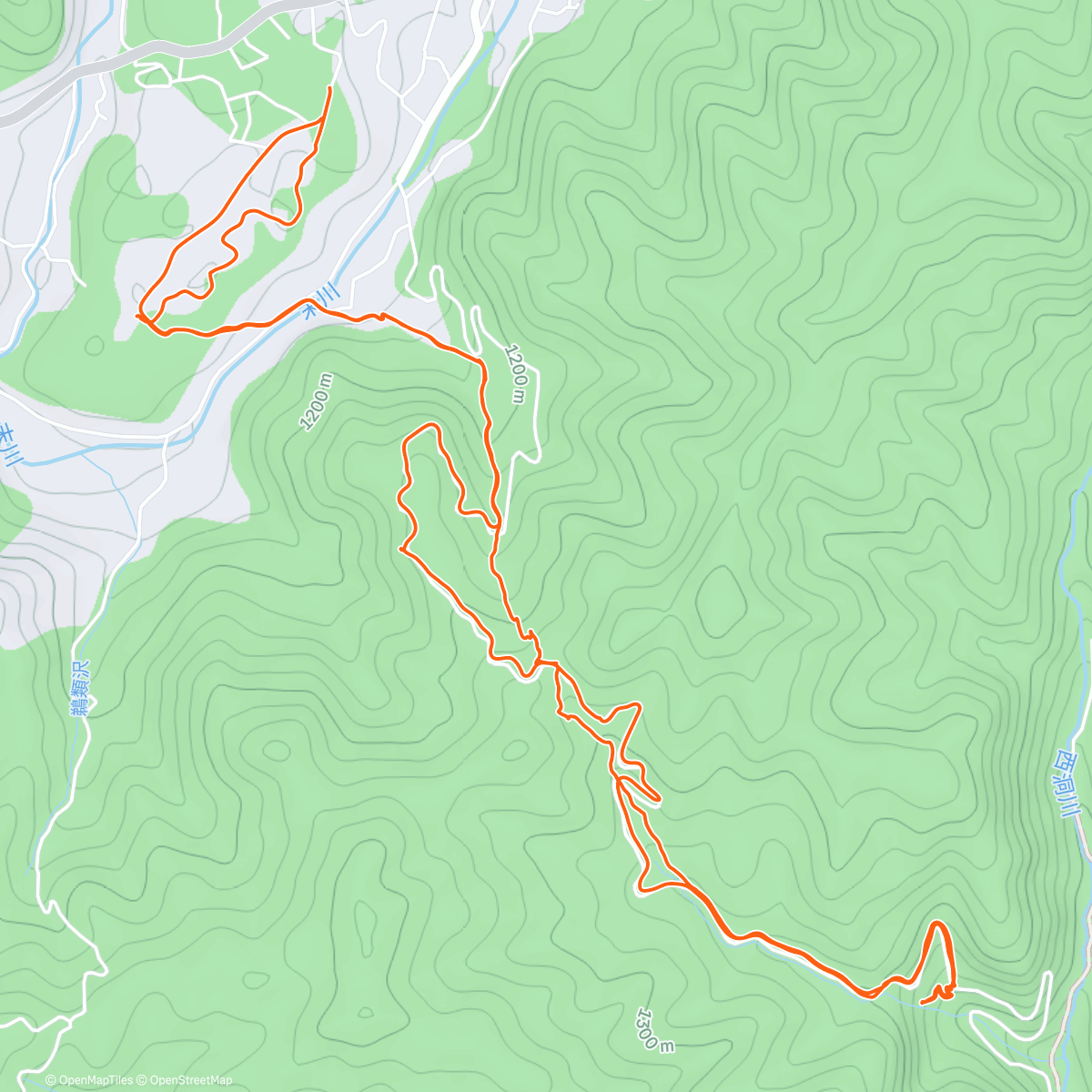 Карта физической активности (地蔵峠 朝のハイキング)