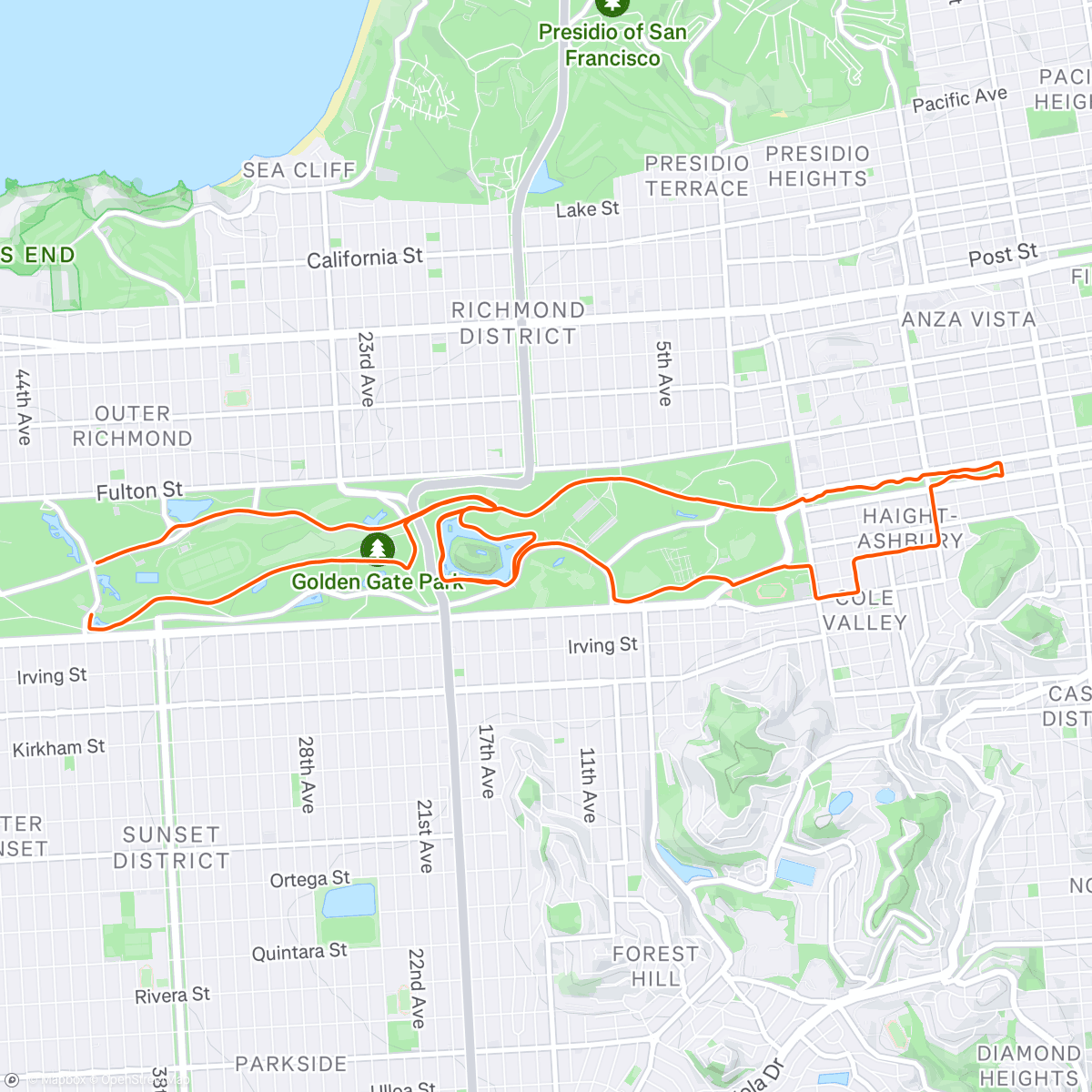 Map of the activity, SFRRC Saturday Run - Perfect Weather 🎉🎉🎉
