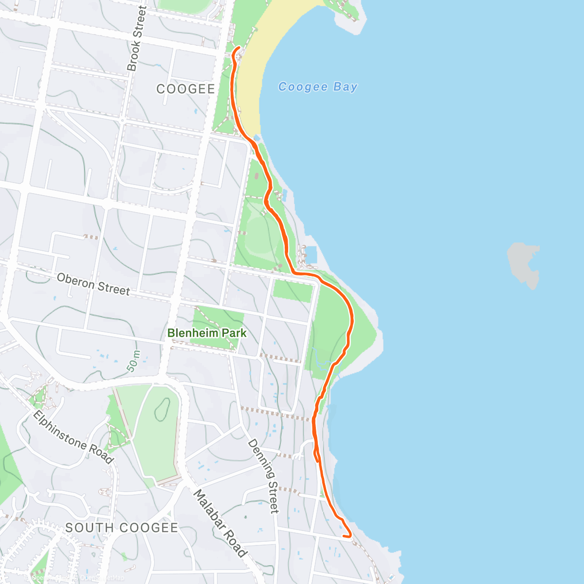 Map of the activity, Night walk with Anastasia and Simba 🎄🐩
