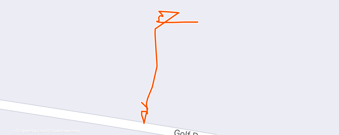 Карта физической активности (Strava fail big time!!!)