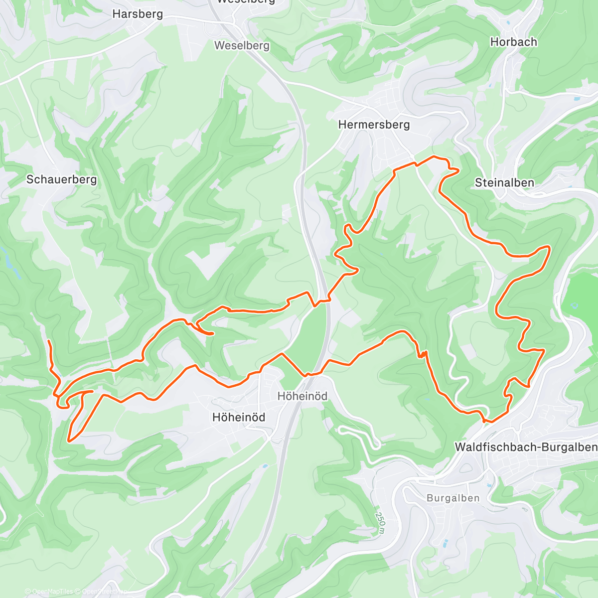 Карта физической активности (25 k zum Jahresabschluss - schön war es mit euch)