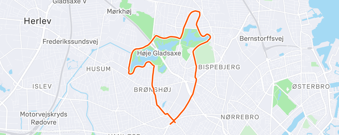 Карта физической активности (Afternoon Run)