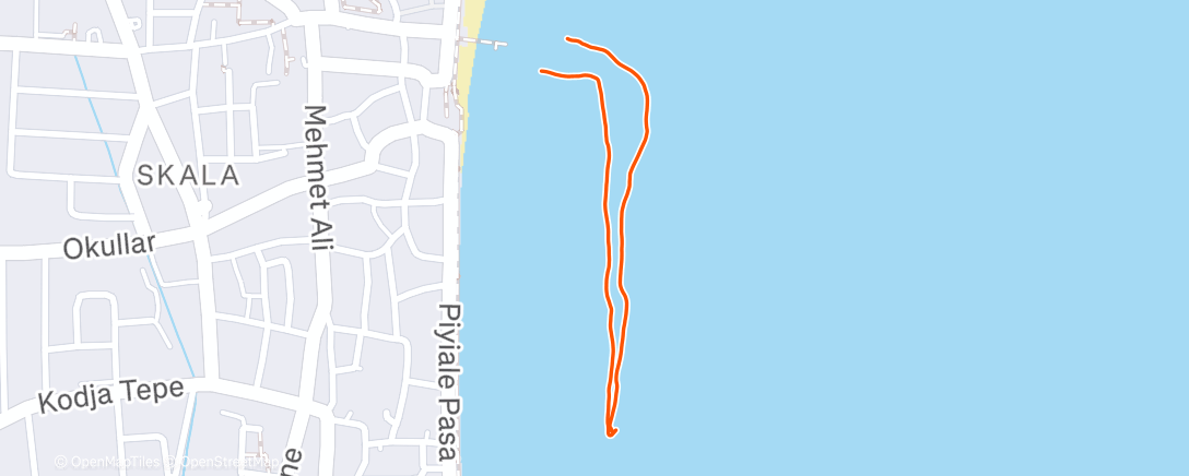 Map of the activity, Morning Swim