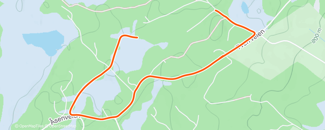 Карта физической активности (Afternoon Walk)