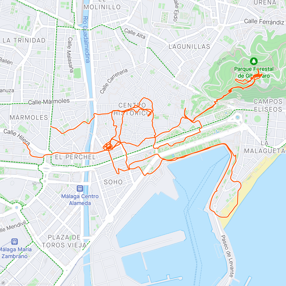 Map of the activity, Malaga 🇪🇸