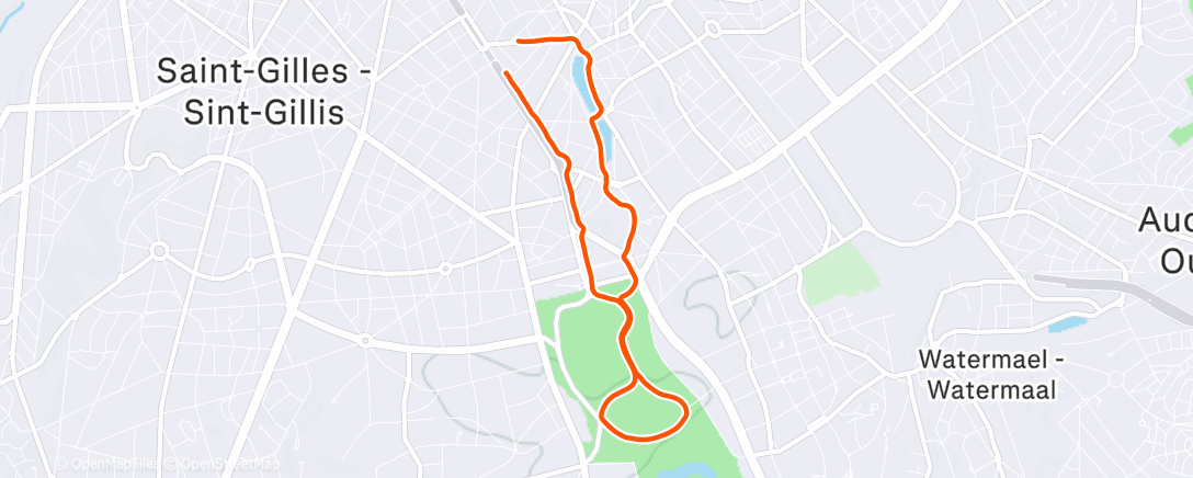 Карта физической активности (flemme)